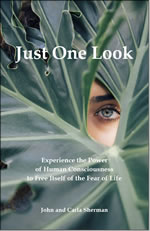 Just One Look ebook cover